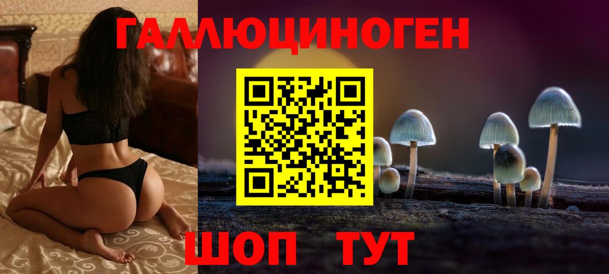 Галлюциногенные грибы прущие грибы Всеволожск