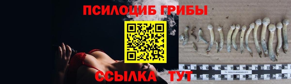 Всеволожск  Галлюциногенные грибы GOLDEN TEACHER  Вход с VPN 